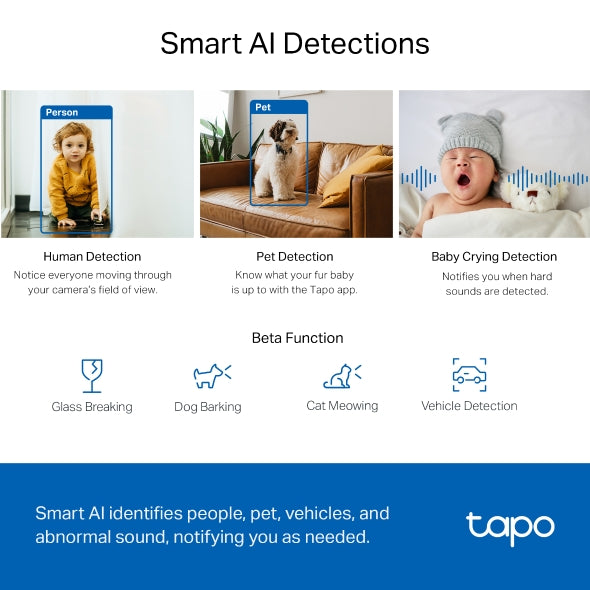 Pan/Tilt AI Home Security Wi-Fi Camera | Tapo C220 V1