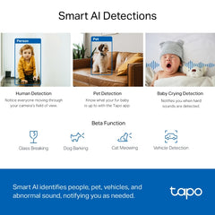 Pan/Tilt AI Home Security Wi-Fi Camera | Tapo C220 V1