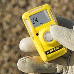 BW Technologies BW-Clip : Single Gas Detector-H2S