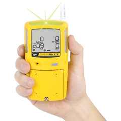 BW Technologies Gas Alert Max XT II : Multi Gas Detector